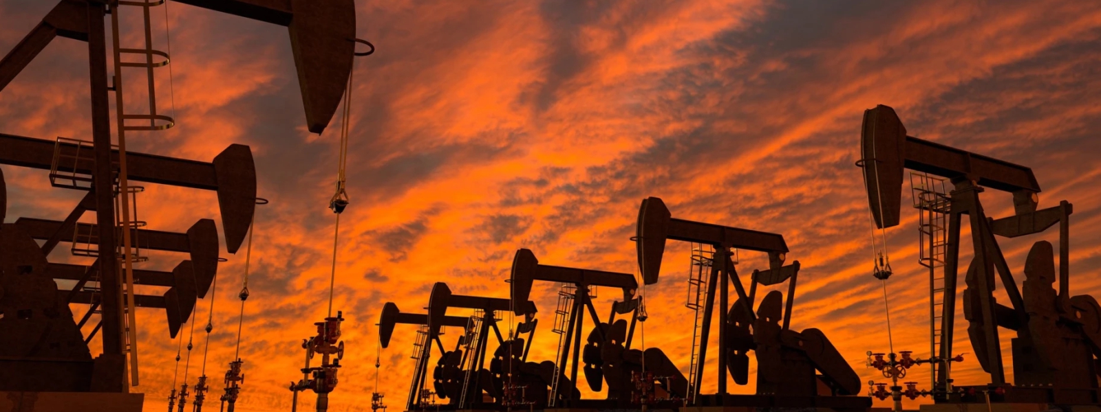 Basic Petroleum Geology