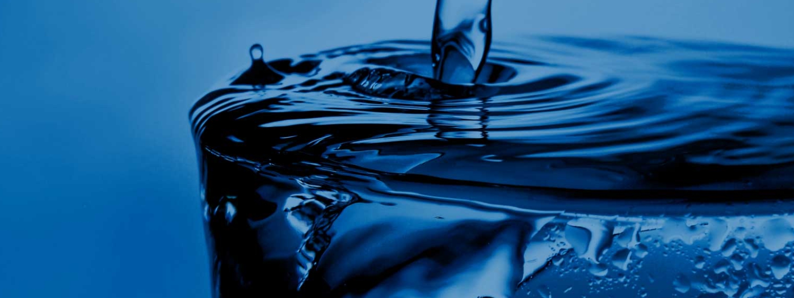 Water & Waste Water Treatment